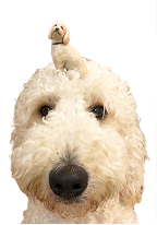 files/3_892_1.png