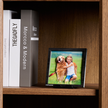 Bring Your Photos to Life: PhotoPop Frame Portrait