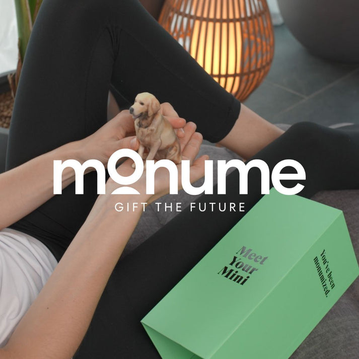Monume: Meet Your Own 3D Mini-Me